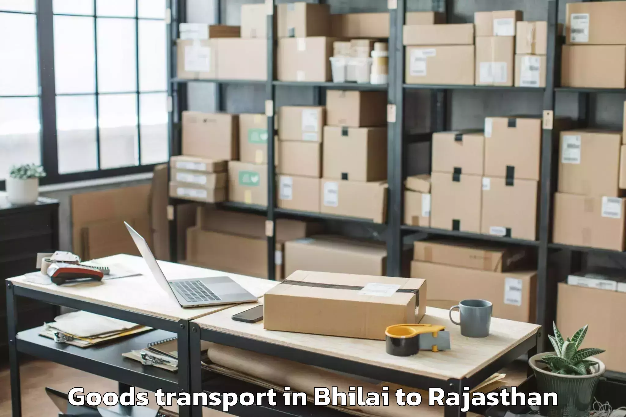 Comprehensive Bhilai to Udaipur Airport Udr Goods Transport